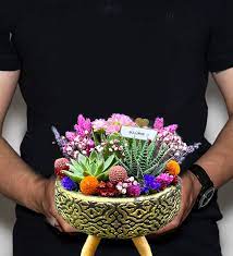 Gökkuşağı Doğum Günü Çiçeği